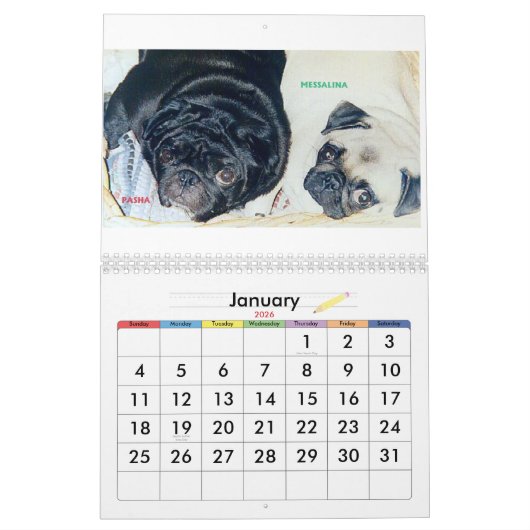 DIE BESTEN MÖPSE IN DER WELT KALENDER (Jan 2026)