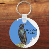 Die besten Oma-Starling und Kakteen im Südwesten d Schlüsselanhänger (Vorderseite)