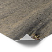 Die besten Surfer da draußen Poster (Ecke)