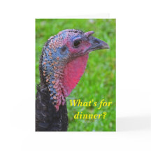 Die besten Wünsche am Putentag, eine niedliche Ref