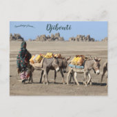 Die Bestien von Burden in Dschibuti Postkarte (Vorderseite)