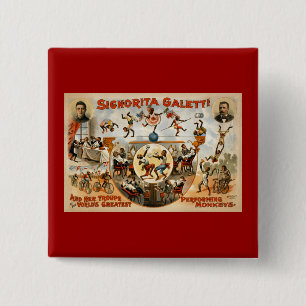 Die beststen darstellenden Affen 1892 der Welt Button