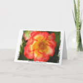 Die Betty- BoopRosen-Gruß-Karte Karte (Rückseite)