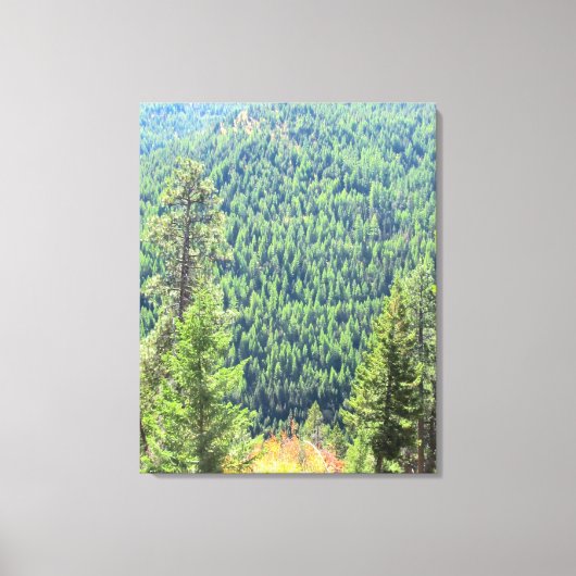 Die bewaldeten Leinwände Leinwanddruck (Vorderseite)