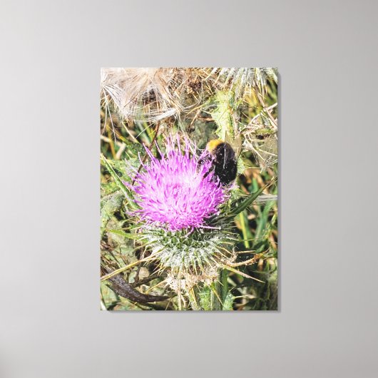 Die Biene auf dem lila Siegel. Leinwanddruck (Vorderseite)