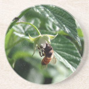 Die Biene auf der Himbeere Bush Getränkeuntersetzer