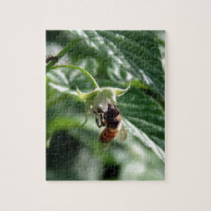 Die Biene auf der Himbeere Bush Puzzle