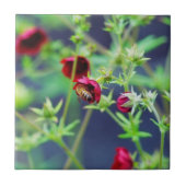 Die Biene mit der roten Blume Fliese (Vorderseite)