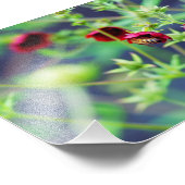 Die Biene mit der roten Blume Fotodruck (Ecke)