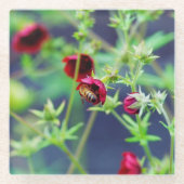 Die Biene mit der roten Blume Glasuntersetzer (Vorderseite)