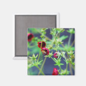 Die Biene mit der roten Blume Magnet (Vorderseite/Rückseite)