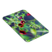 Die Biene mit der roten Blume Magnet (Rechte Seite)