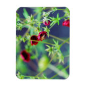 Die Biene mit der roten Blume Magnet (Vertikal)