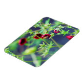 Die Biene mit der roten Blume Magnet (Linke Seite)