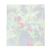 Die Biene mit der roten Blume Notizblock (Vorderseite)