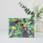 Die Biene mit der roten Blume Postkarte (Stehend Vorderseite)