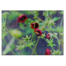 Die Biene mit der roten Blume