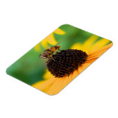 Die Bienen des Sommers - Daisy Magnet (Linke Seite)