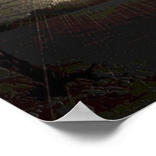 Die BIG-Insel Sunset Poster (Ecke)