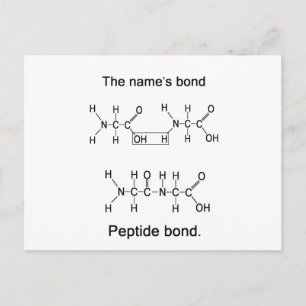 Die Bindung des Namens, Peptidbindung Postkarte