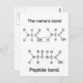 Die Bindung des Namens, Peptidbindung Postkarte (Vorne/Hinten)