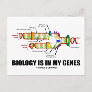 Die Biologie steckt in meinen Genen (DNA-Replikati Postkarte