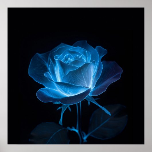 Die biolumineszente Blume der Blauen Rose auf Schw Poster (Vorne)