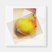 Die Birnen... Magnet (Vorne)