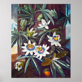 Die blaue Blume der Leidenschaft Poster