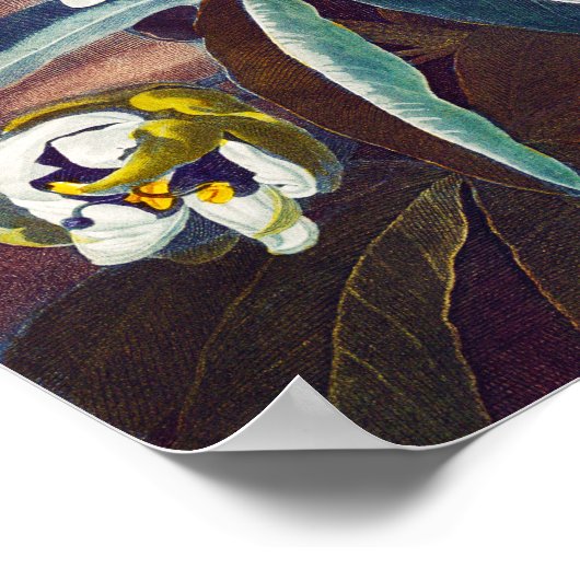 Die blaue Blume der Leidenschaft Poster (Ecke)