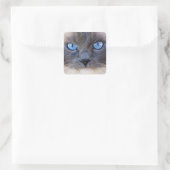 Die blaue Mit Augen Katze Quadratischer Aufkleber (Tasche)