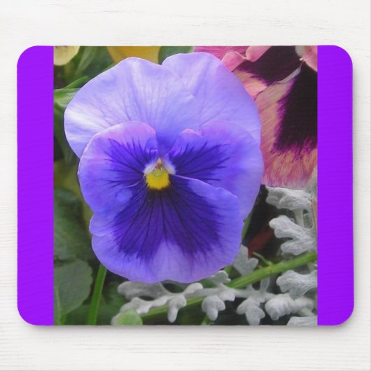 Die blaue Pansy Mousepad (Vorne)
