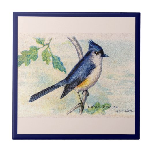 Die blaue Tufted Titmouse Bird Keramik Tile Fliese (Vorderseite)