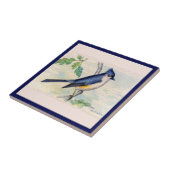Die blaue Tufted Titmouse Bird Keramik Tile Fliese (Seite)