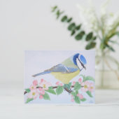 Die blauen Tits im Frühling Postkarte (Stehend Vorderseite)
