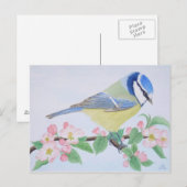 Die blauen Tits im Frühling Postkarte (Vorne/Hinten)
