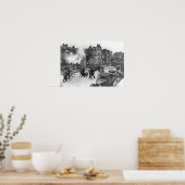 Die Blitz Poster (Küche)