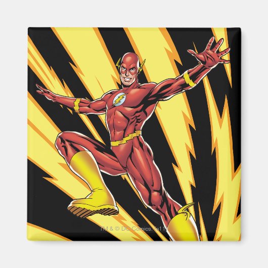 Die Blitzleuchten Magnet (Vorne)