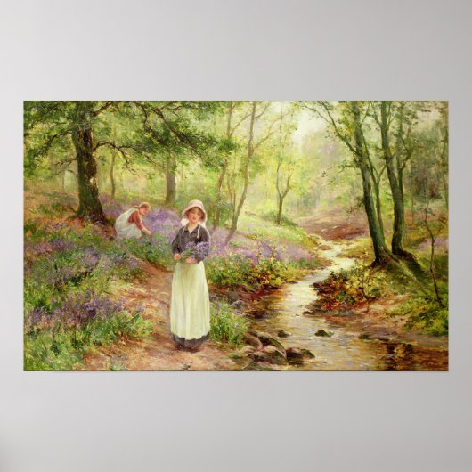 Die Bluebell Glade Poster (Vorne)