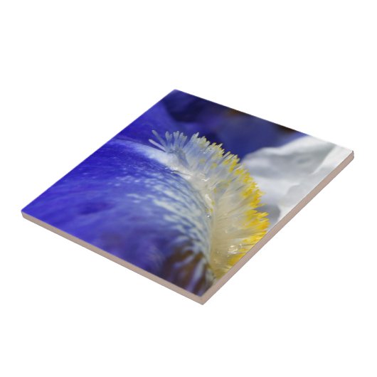 Die Blues singen! Fliese (Seite)