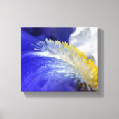 Die Blues singen! Leinwanddruck (Vorderseite)