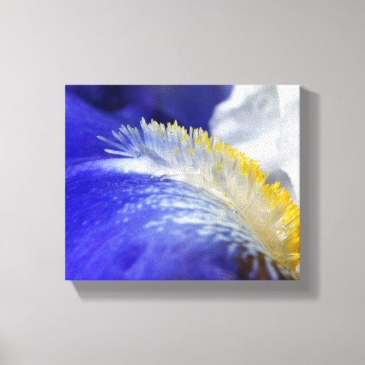 Die Blues singen! Leinwanddruck (Vorderseite)