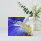 Die Blues singen! Postkarte (Stehend Vorderseite)