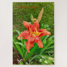 Die blühende Flamme - ruhige Rätsel