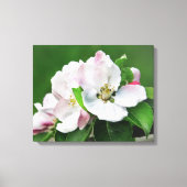 Die blühende Leinwand des Apfelbaums Kunst (Vorderseite)