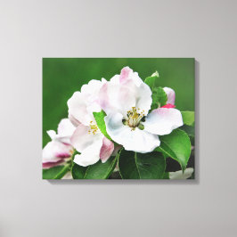 Die blühende Leinwand des Apfelbaums Kunst