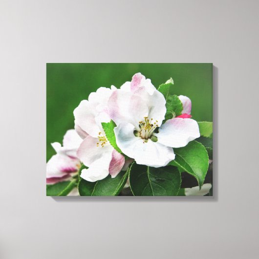 Die blühende Leinwand des Apfelbaums Kunst (Vorderseite)