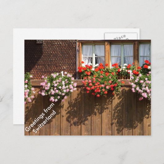 Die blühenden Fenster der Schweiz Postkarte (Vorne/Hinten)