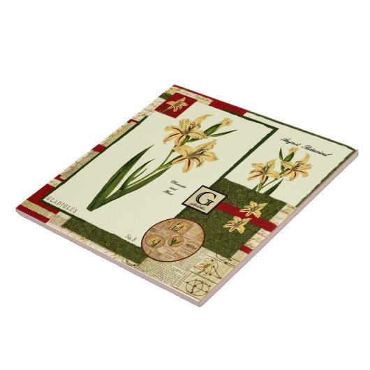 Die Blume des Augusts Fliese (Seite)