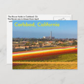 Die Blume-Felder Postkarte (Vorne/Hinten)